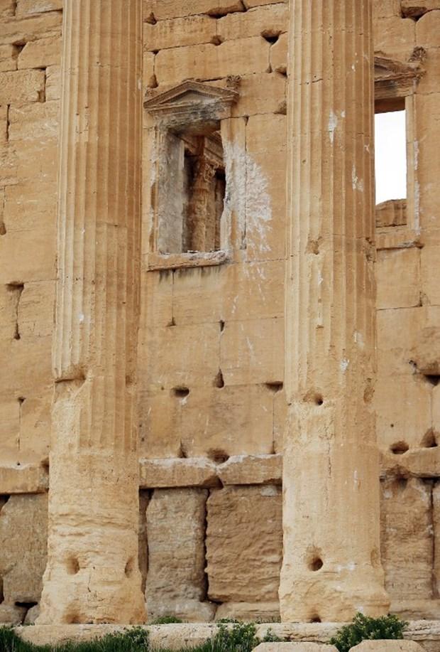 Esad rejiminin korkunç yüzü: Palmira