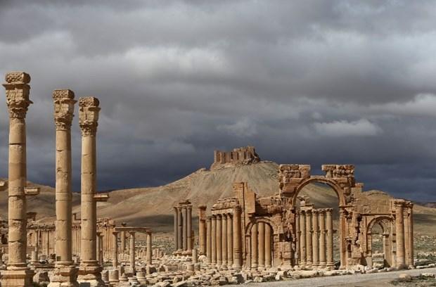 Esad rejiminin korkunç yüzü: Palmira