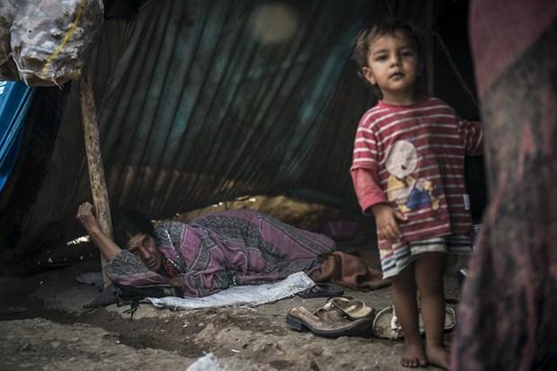 Kırıkhan'daki Suriyelilerin yaşam mücadelesi