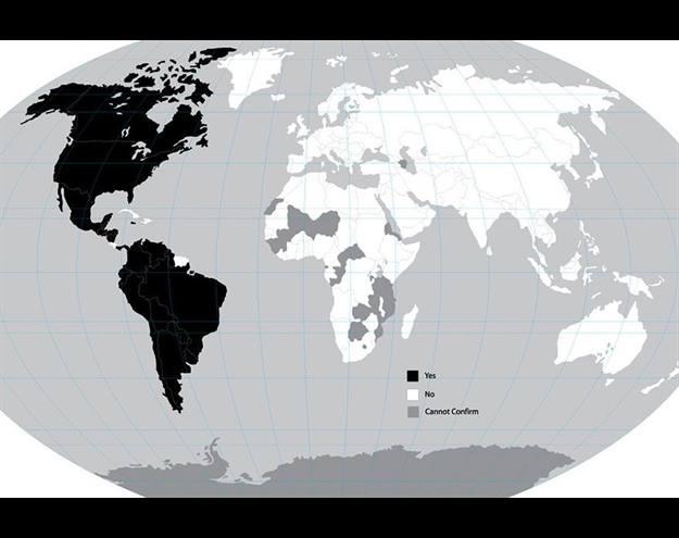 Bu haritalar dünyaya bakışınızı değiştirecek