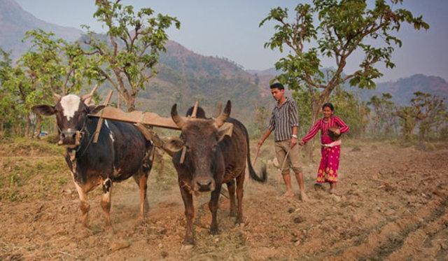 En ilginç seks gelenekleri