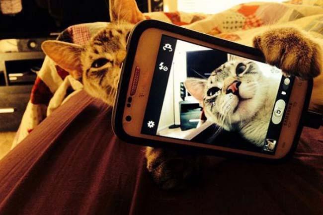 Böyle bir Selfie görmediniz!