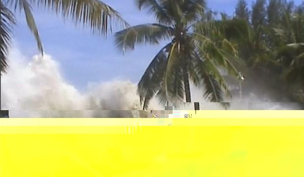 Tsunami nedir, nasıl oluşur?