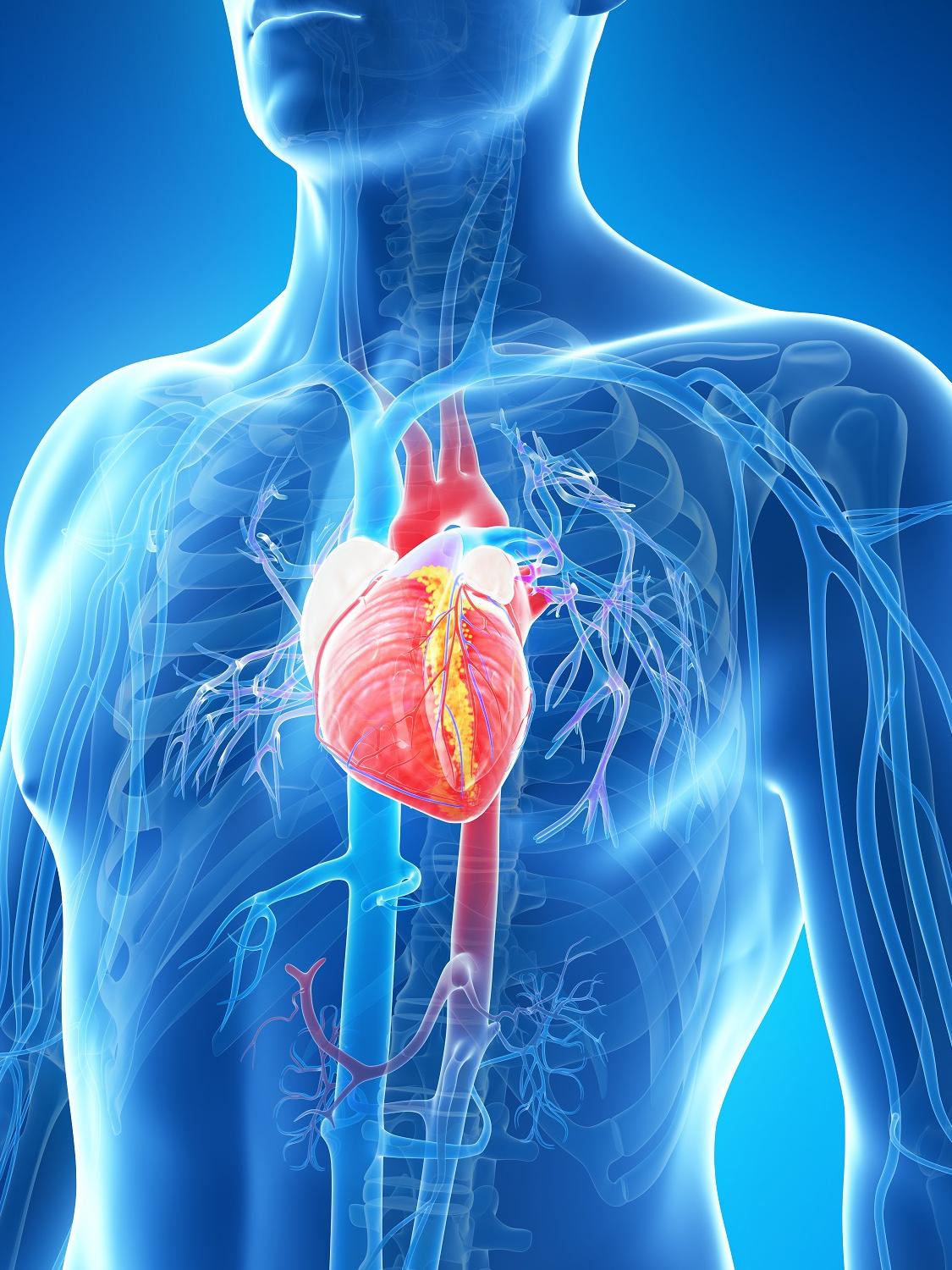 Kalp cerrahisinde 9 yeni gelişme