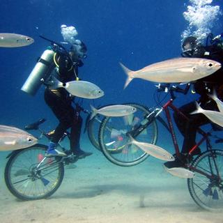 Deniz dibinde bisiklet turu