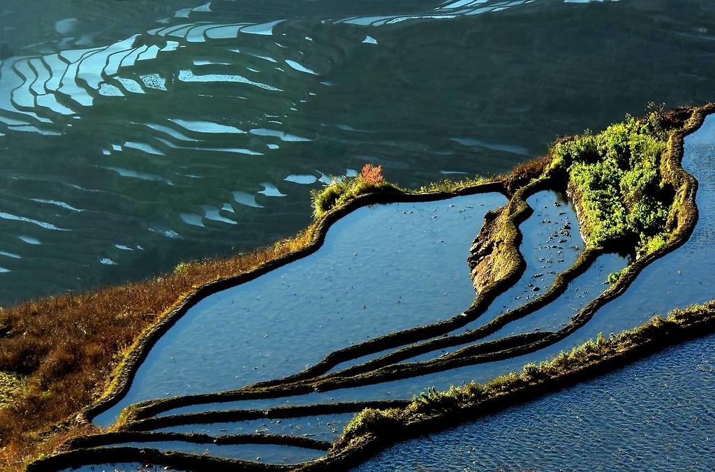Çin'de teras tarla sanatı turizme dönüştü