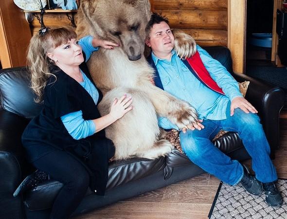 Bu ailenin evcil hayvanı 300 kilo bir ayı