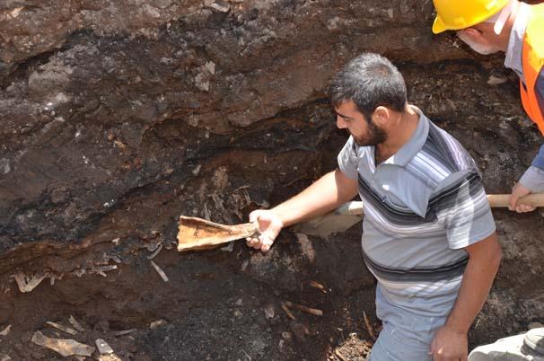 Siverek'te yapılan kazıda kemikler ve tünel bulundu