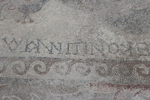 Yonca tarlasında çıkan bin 400 yıllık mozaik koruma altına alındı