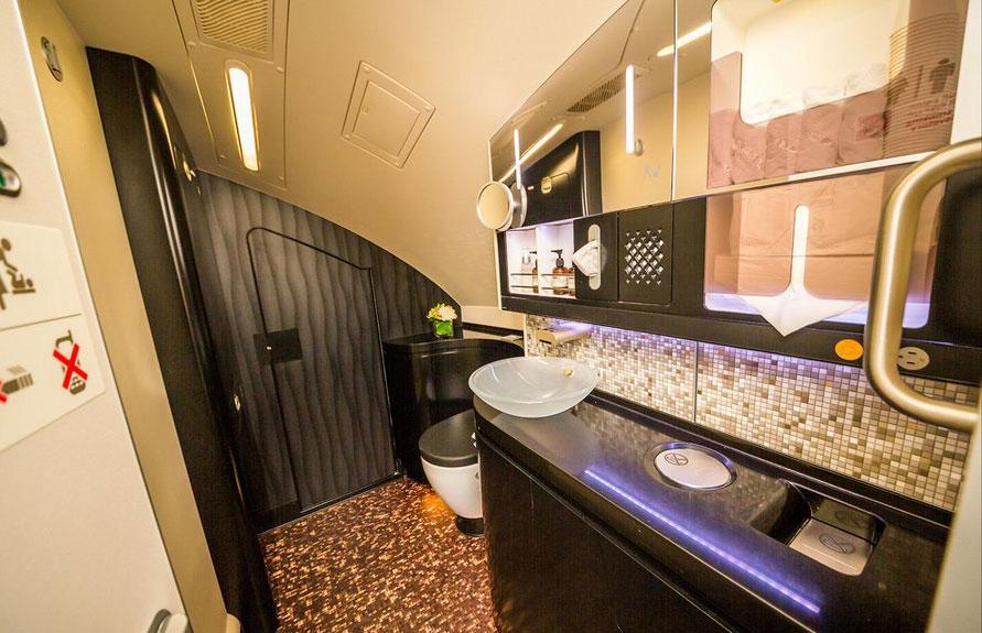 Böyle olur Arapların uçakları