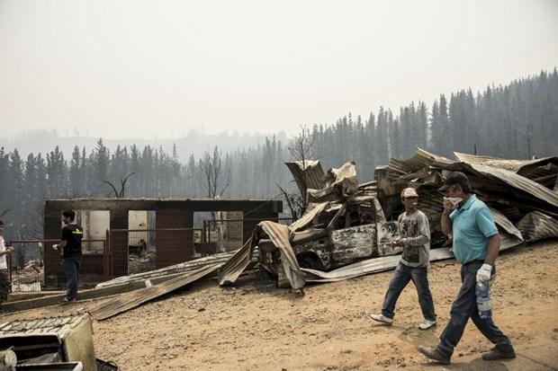 Şili'de orman yangını: Kent tamamen yandı!