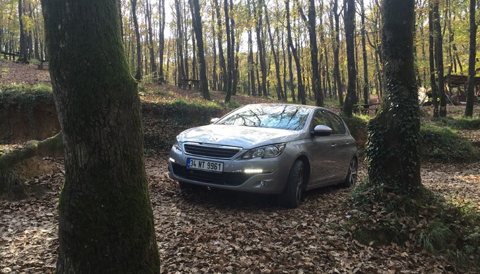 308’e dizel-otomatik dopingi