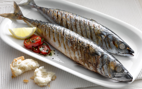 grilled-mackerel-with-tomato-salad