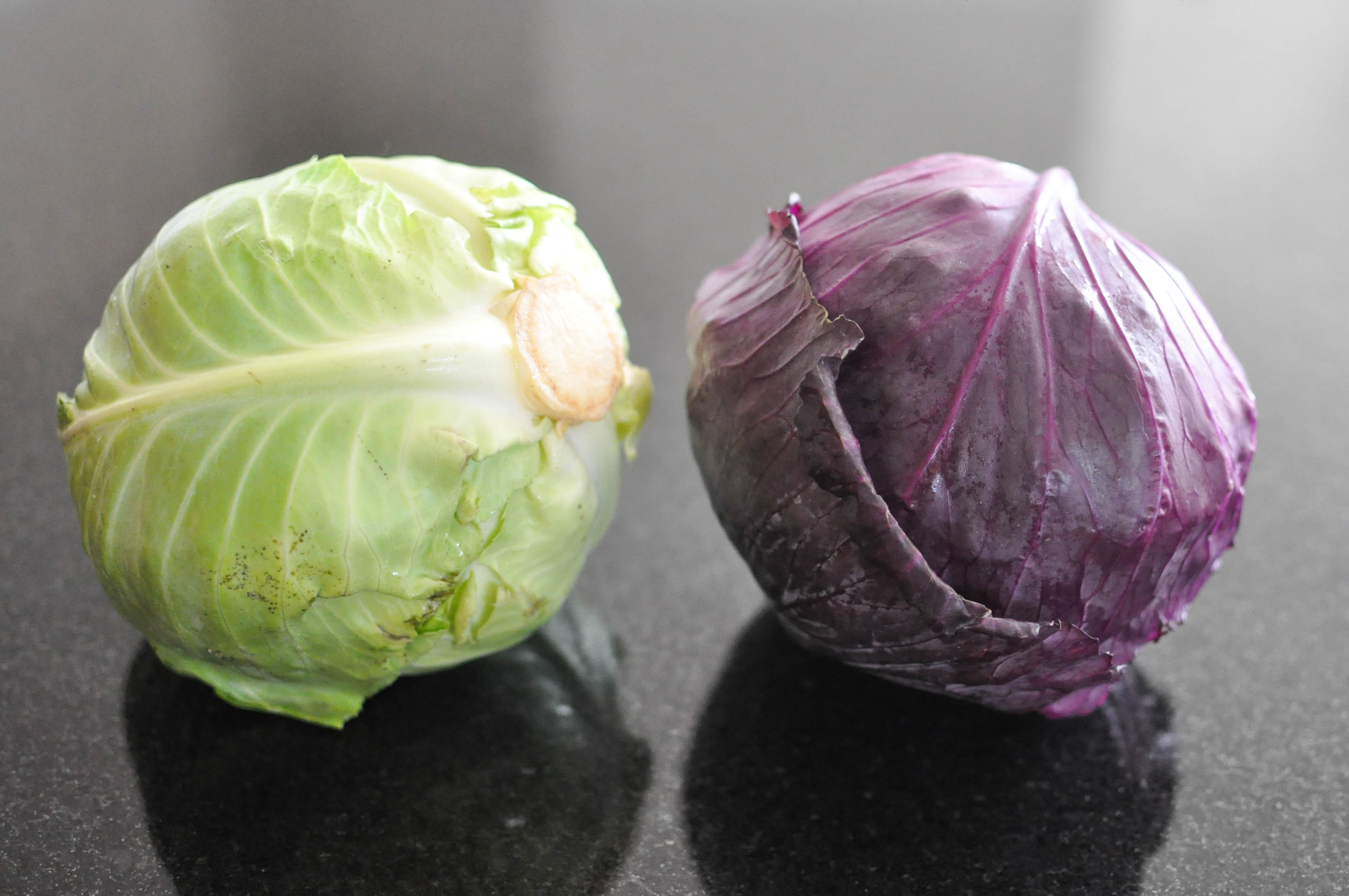 gather_s-roasted-green-and-purple-cabbage-fedfit-9