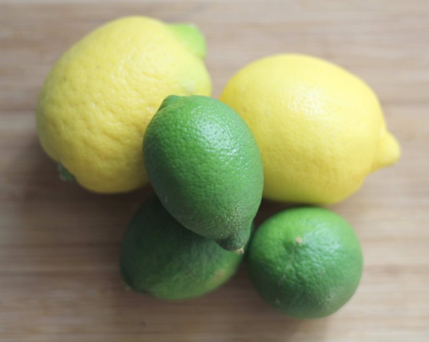lemons-and-limes-624x497